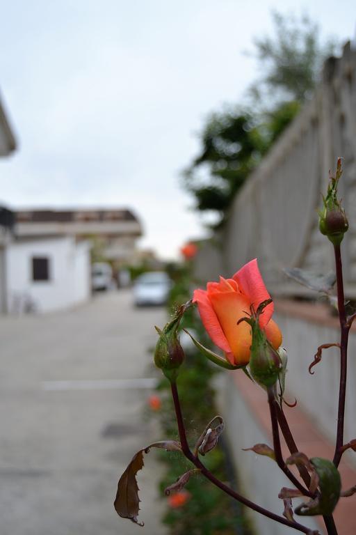 Il Girasole Formia Guesthouse Rooms 외부 사진