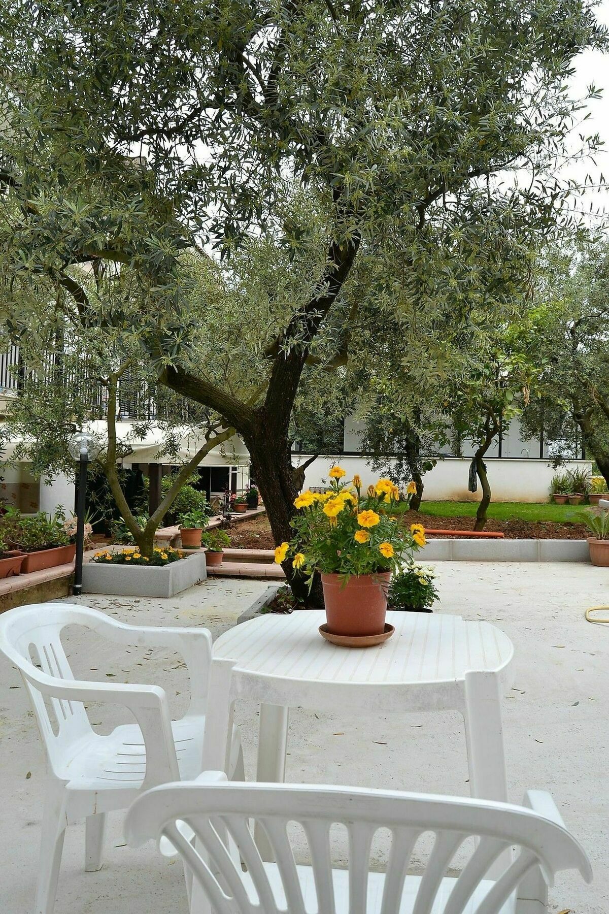 Il Girasole Formia Guesthouse Rooms 외부 사진